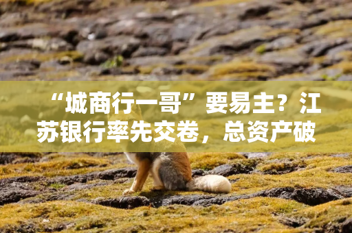“城商行一哥”要易主？江苏银行率先交卷，总资产破4.7万亿，上半年赚202亿