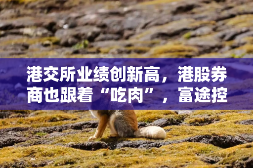 港交所业绩创新高，港股券商也跟着“吃肉”，富途控股半年营收超百亿