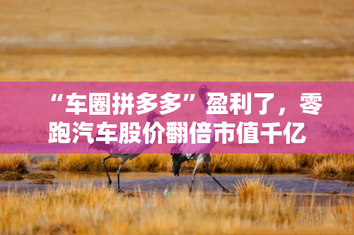 “车圈拼多多”盈利了，零跑汽车股价翻倍市值千亿