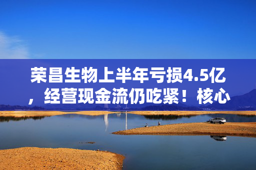 荣昌生物上半年亏损4.5亿，经营现金流仍吃紧！核心产品BD交易获超5亿首付
