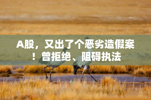 A股，又出了个恶劣造假案！曾拒绝、阻碍执法