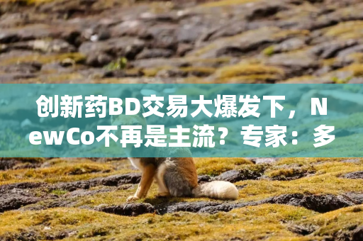 创新药BD交易大爆发下，NewCo不再是主流？专家：多元出海模式将长期并存