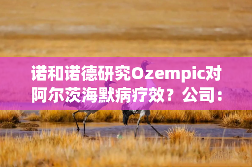 诺和诺德研究Ozempic对阿尔茨海默病疗效？公司：应为口服司美格鲁肽，试验预计四季度完成