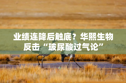 业绩连降后触底？华熙生物反击“玻尿酸过气论”