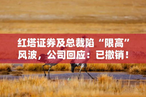 红塔证券及总裁陷“限高”风波，公司回应：已撤销！红鑫2号还要付5828万？