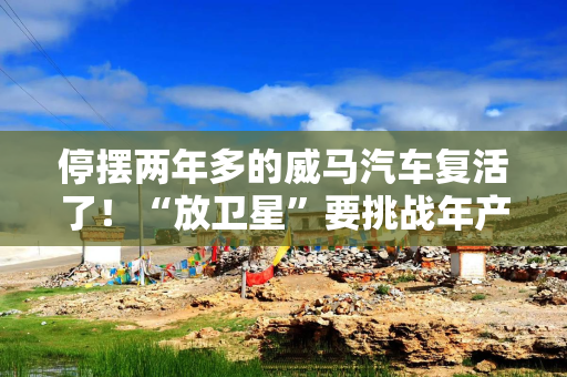 停摆两年多的威马汽车复活了！“放卫星”要挑战年产100万辆
