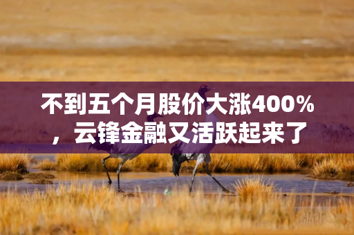 不到五个月股价大涨400%，云锋金融又活跃起来了