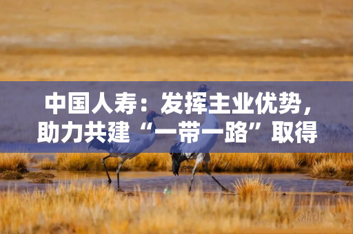 中国人寿：发挥主业优势，助力共建“一带一路”取得丰硕成果