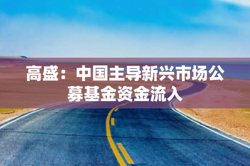 高盛：中国主导新兴市场公募基金资金流入