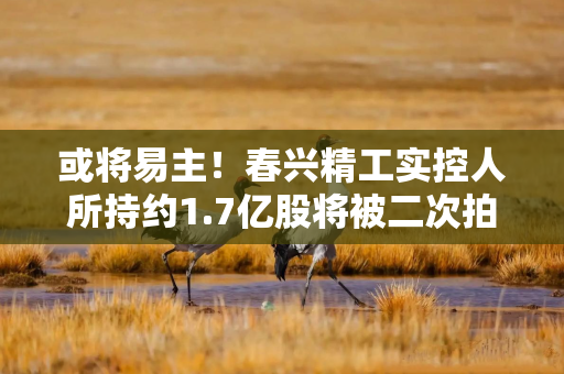 或将易主！春兴精工实控人所持约1.7亿股将被二次拍卖