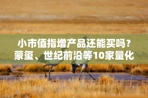 小市值指增产品还能买吗？蒙玺、世纪前沿等10家量化私募发声！