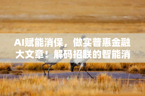 AI赋能消保，做实普惠金融大文章！解码招联的智能消保实践