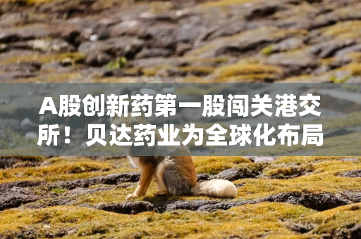 A股创新药第一股闯关港交所！贝达药业为全球化布局铺路？核心产品或承压