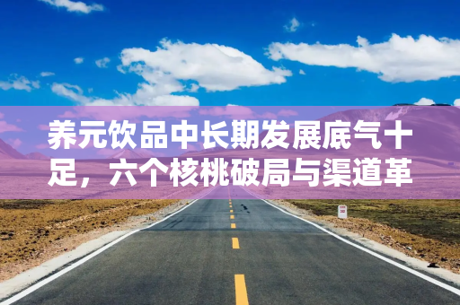 养元饮品中长期发展底气十足，六个核桃破局与渠道革新初显成效