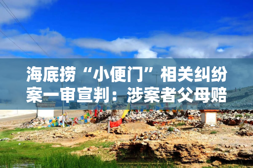海底捞“小便门”相关纠纷案一审宣判：涉案者父母赔偿220万元
