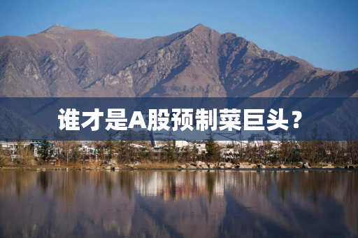 谁才是A股预制菜巨头？