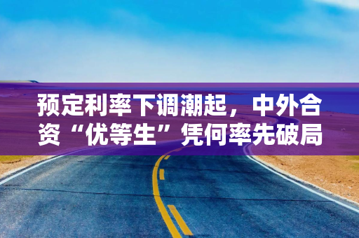 预定利率下调潮起，中外合资“优等生”凭何率先破局？