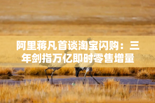 阿里蒋凡首谈淘宝闪购：三年剑指万亿即时零售增量