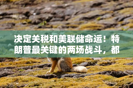 决定关税和美联储命运！特朗普最关键的两场战斗，都将取决于美国高院