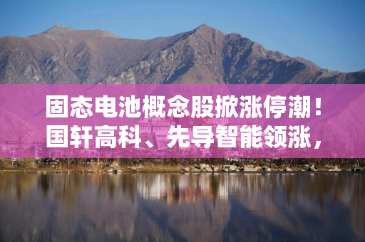 固态电池概念股掀涨停潮！国轩高科、先导智能领涨，上半年超六成企业业绩飘红