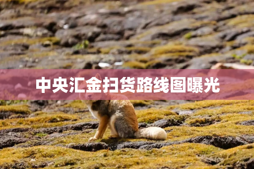 中央汇金扫货路线图曝光