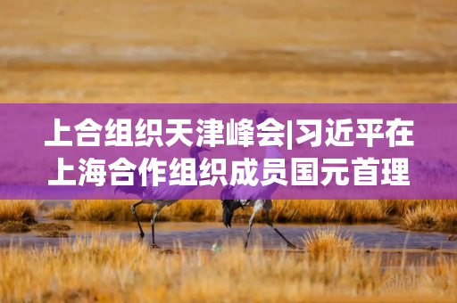 上合组织天津峰会|习近平在上海合作组织成员国元首理事会第二十五次会议上的讲话（全文）