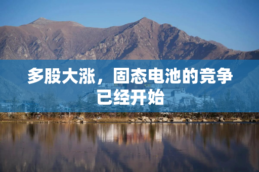 多股大涨，固态电池的竞争已经开始