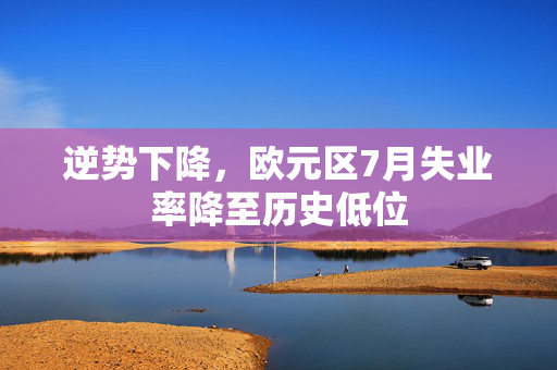 逆势下降，欧元区7月失业率降至历史低位