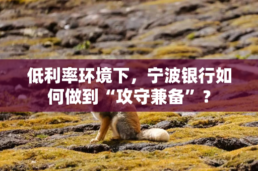 低利率环境下，宁波银行如何做到“攻守兼备”？