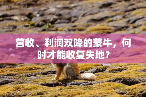 营收、利润双降的蒙牛，何时才能收复失地？