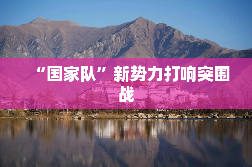 “国家队”新势力打响突围战