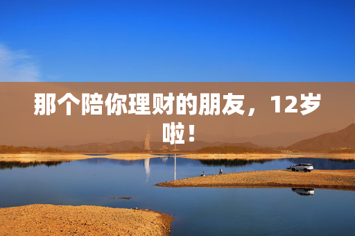 那个陪你理财的朋友，12岁啦！