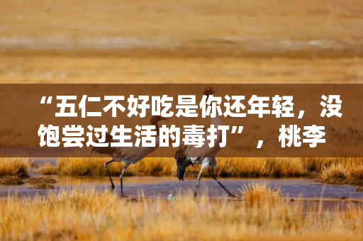 “五仁不好吃是你还年轻，没饱尝过生活的毒打”，桃李面包月饼广告语引争议