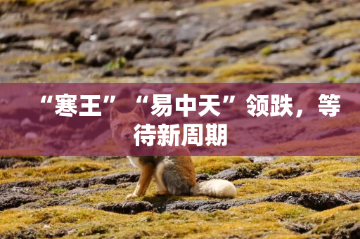 “寒王”“易中天”领跌，等待新周期