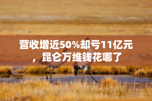 营收增近50%却亏11亿元，昆仑万维钱花哪了