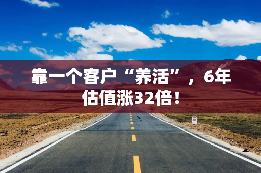 靠一个客户“养活”，6年估值涨32倍！
