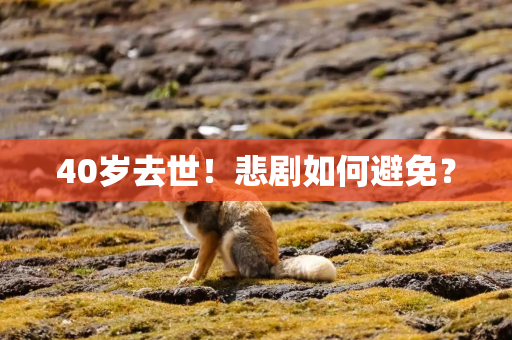40岁去世！悲剧如何避免？