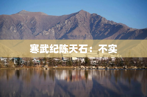 寒武纪陈天石：不实