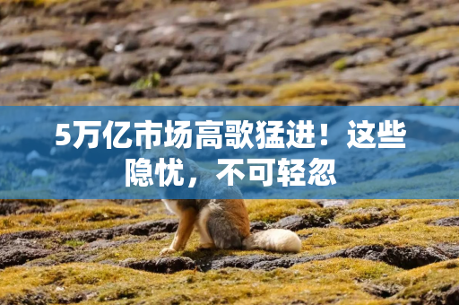 5万亿市场高歌猛进！这些隐忧，不可轻忽