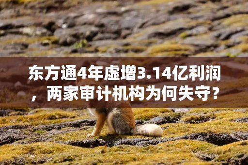 东方通4年虚增3.14亿利润，两家审计机构为何失守？