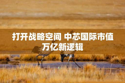 打开战略空间 中芯国际市值万亿新逻辑