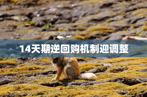 14天期逆回购机制迎调整