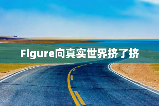 Figure向真实世界挤了挤