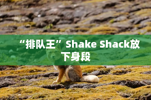 “排队王”Shake Shack放下身段