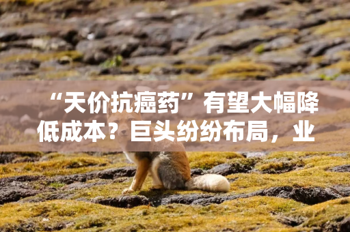 “天价抗癌药”有望大幅降低成本？巨头纷纷布局，业内人：避免盲目追热点