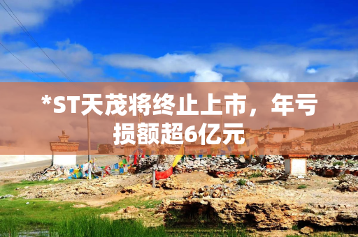 *ST天茂将终止上市，年亏损额超6亿元