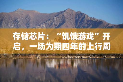 存储芯片：“饥饿游戏”开启，一场为期四年的上行周期