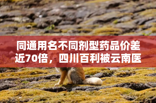 同通用名不同剂型药品价差近70倍，四川百利被云南医保局问询，已被暂停该药品采购资格