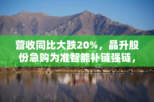营收同比大跌20%，晶升股份急购为准智能补链强链，能否对冲光伏疲软、打开新的成长空间？