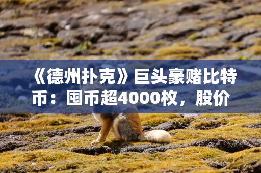 《德州扑克》巨头豪赌比特币：囤币超4000枚，股价翻12倍后是深渊还是天堂？